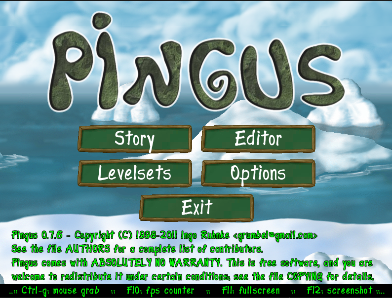 The game starts and runs normally